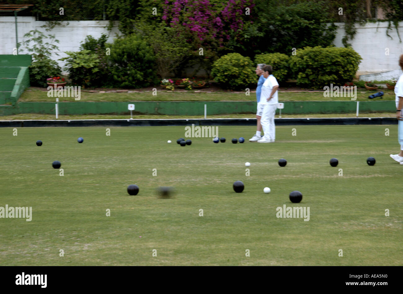 Team play on a Lawn bowling green Stock Photo