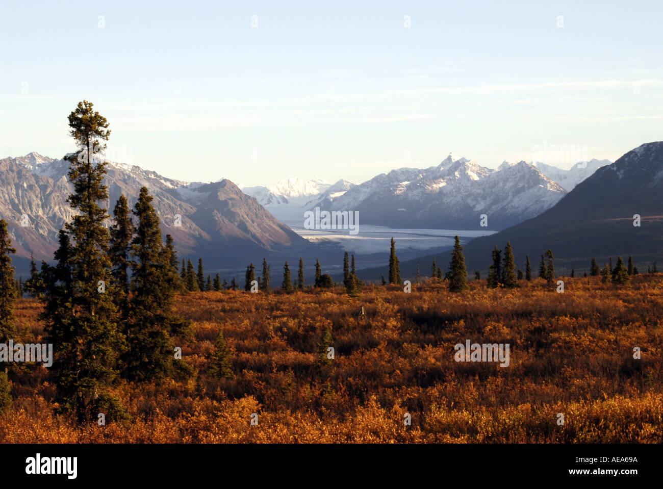 View of the Alaska Range from the Glenn Highway Stock Photo