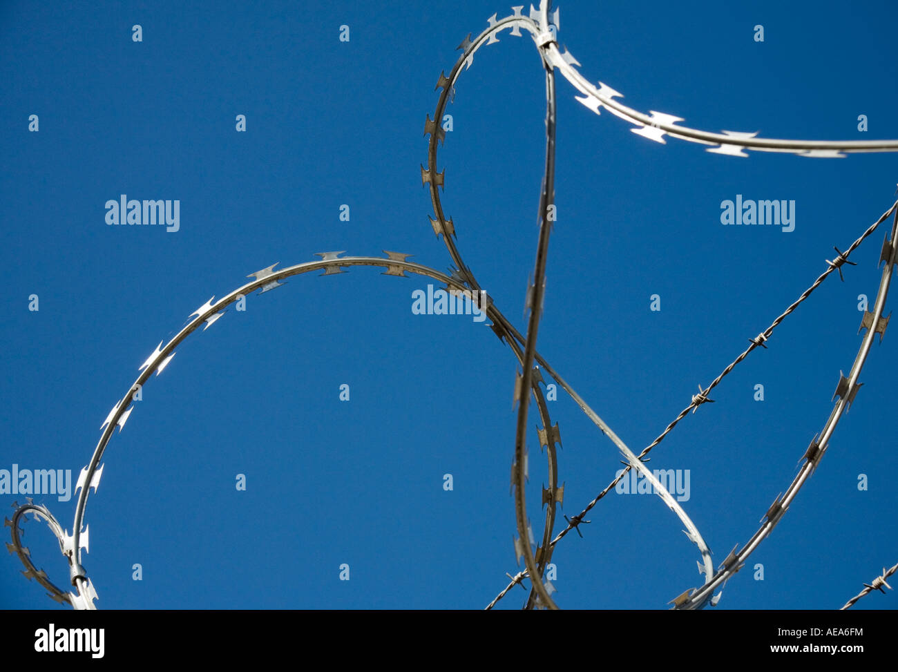 Razor wire and Barbed wire Stock Photo Alamy