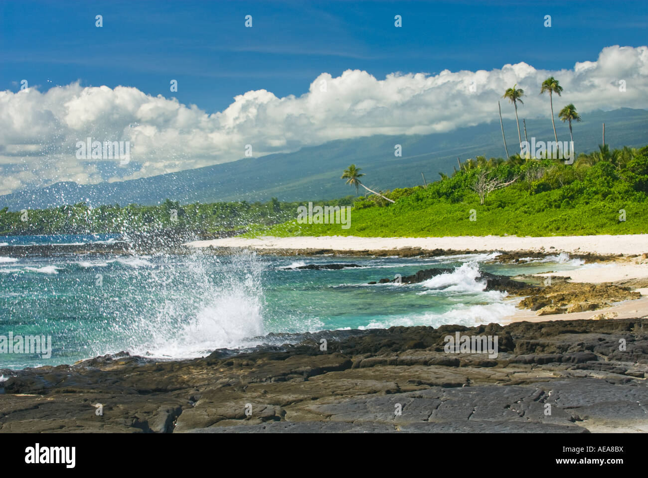 SAMOA SAVAII most western point region kap head of savaii island strand ...