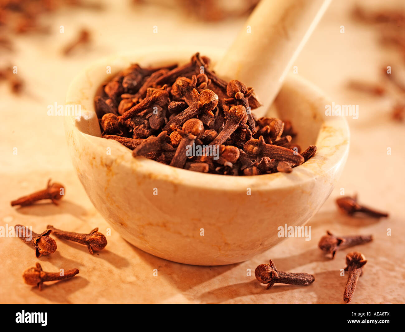 WHOLE CLOVES IN PESTLE AND MORTAR Stock Photo Alamy