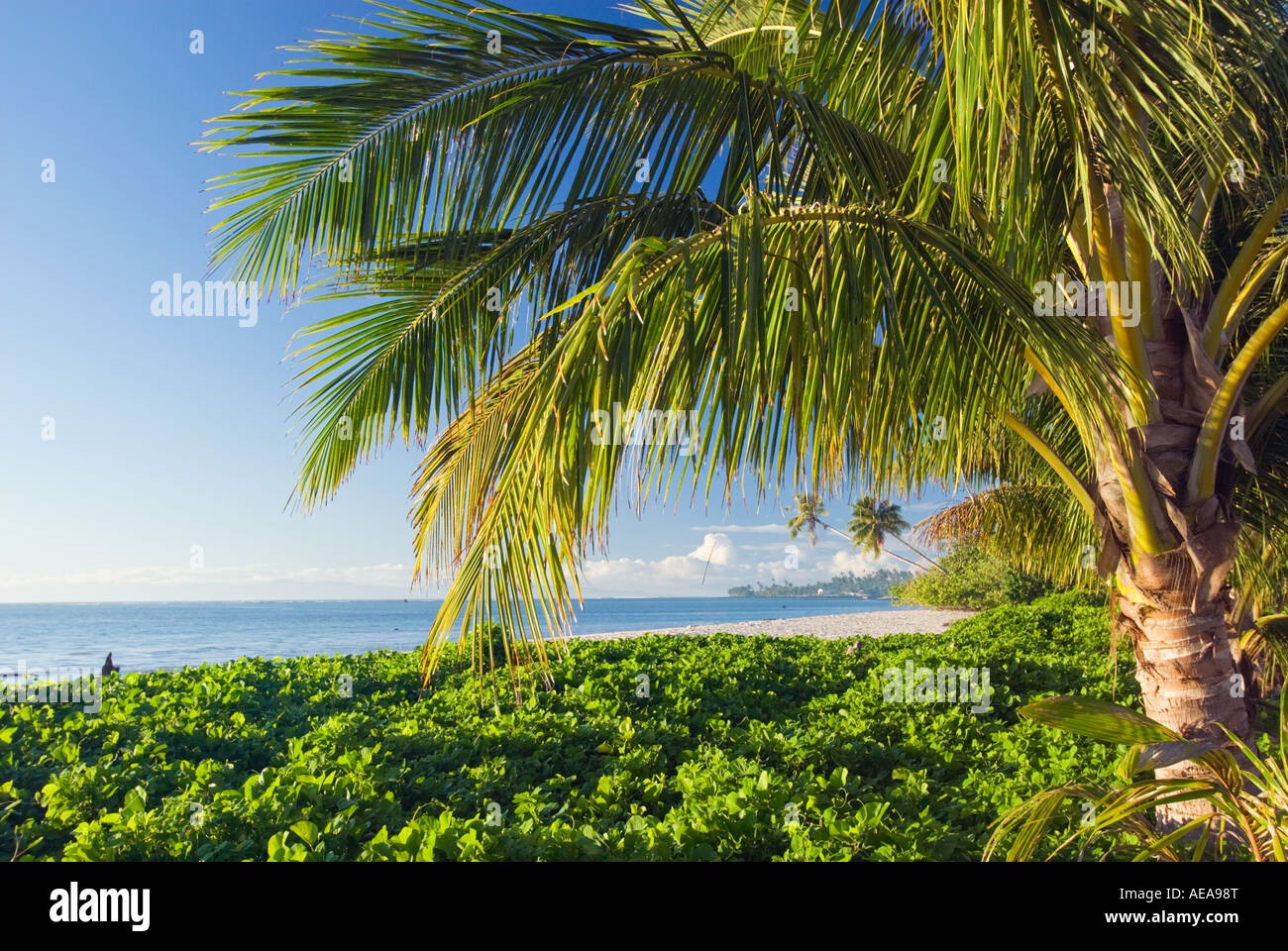 SAVAI Western Samoa beach strand MANASE south coast Stock Photo - Alamy