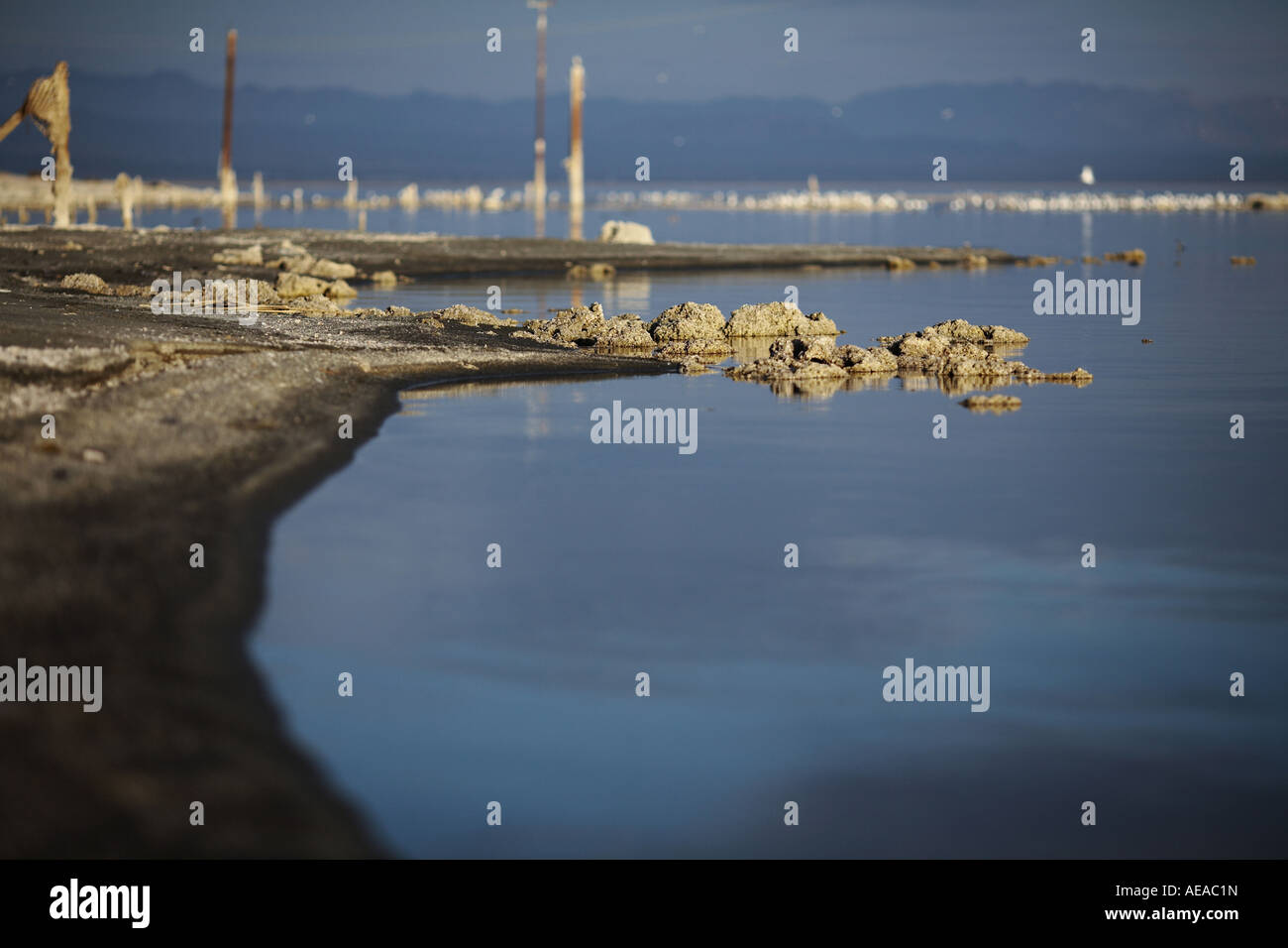 Salton Sea Polluted Shoreline at Bombay Beach Salton Sea California USA