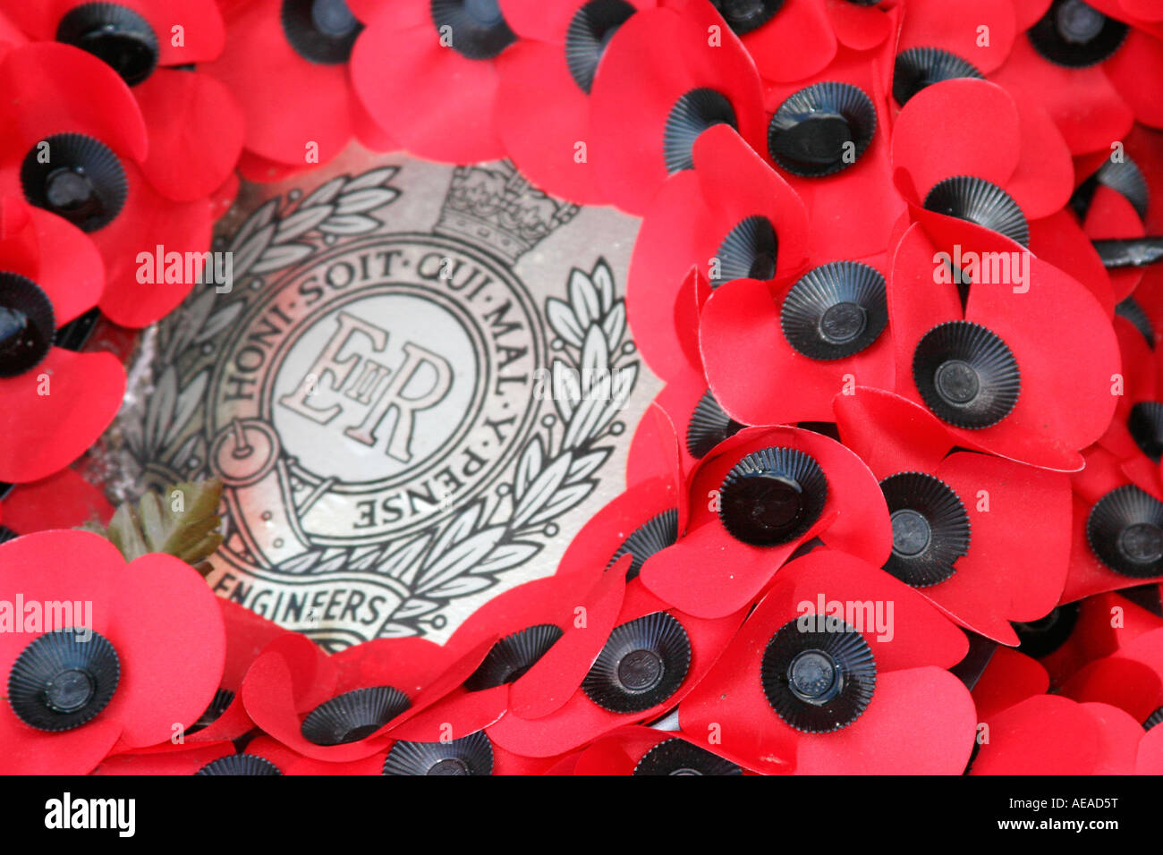 Remembrance day poppy paper poppies wreath 11th November Stock Photo