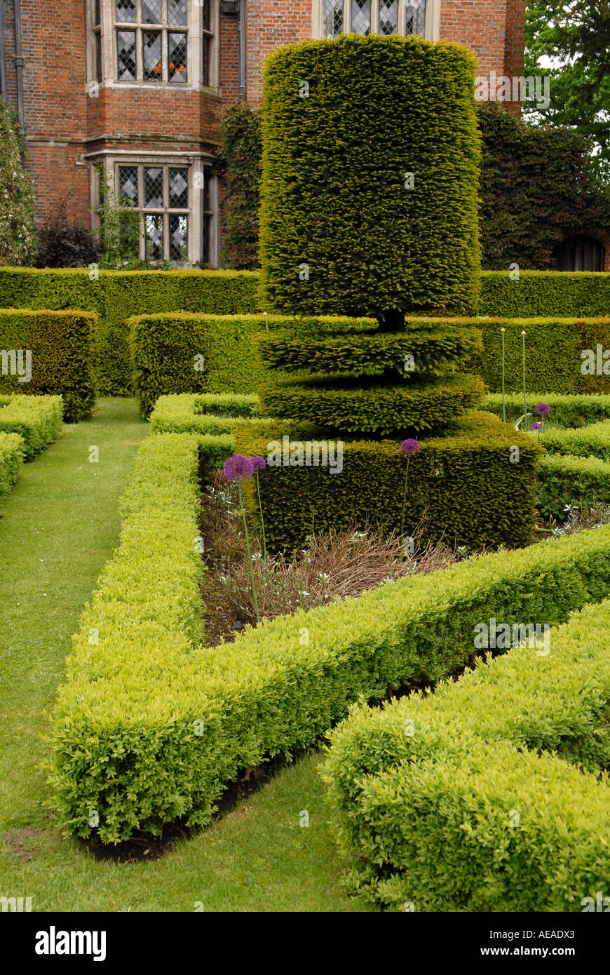 Topiary at Great Fosters country house hotel, Surrey, UK. Stock Photo