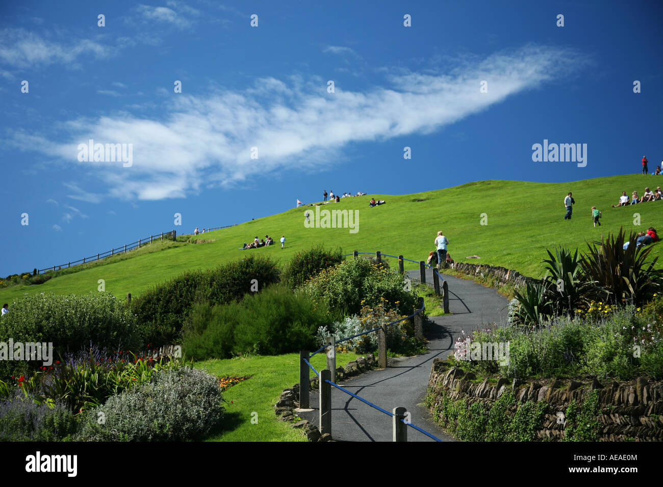 pathway on hillsborough ilfracombe devon Stock Photo - Alamy