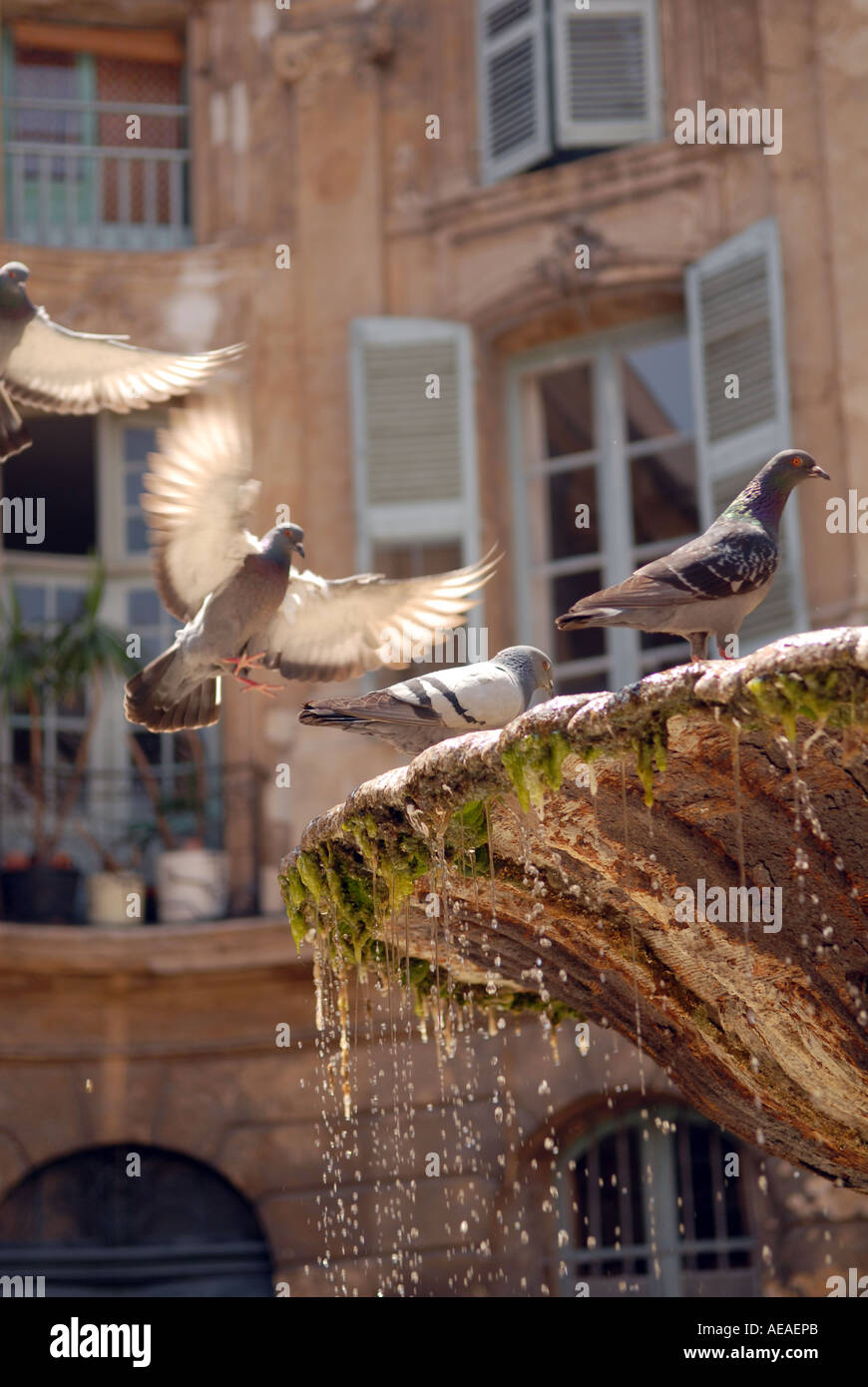 Aix en provence france aubert hi-res stock photography and images - Alamy
