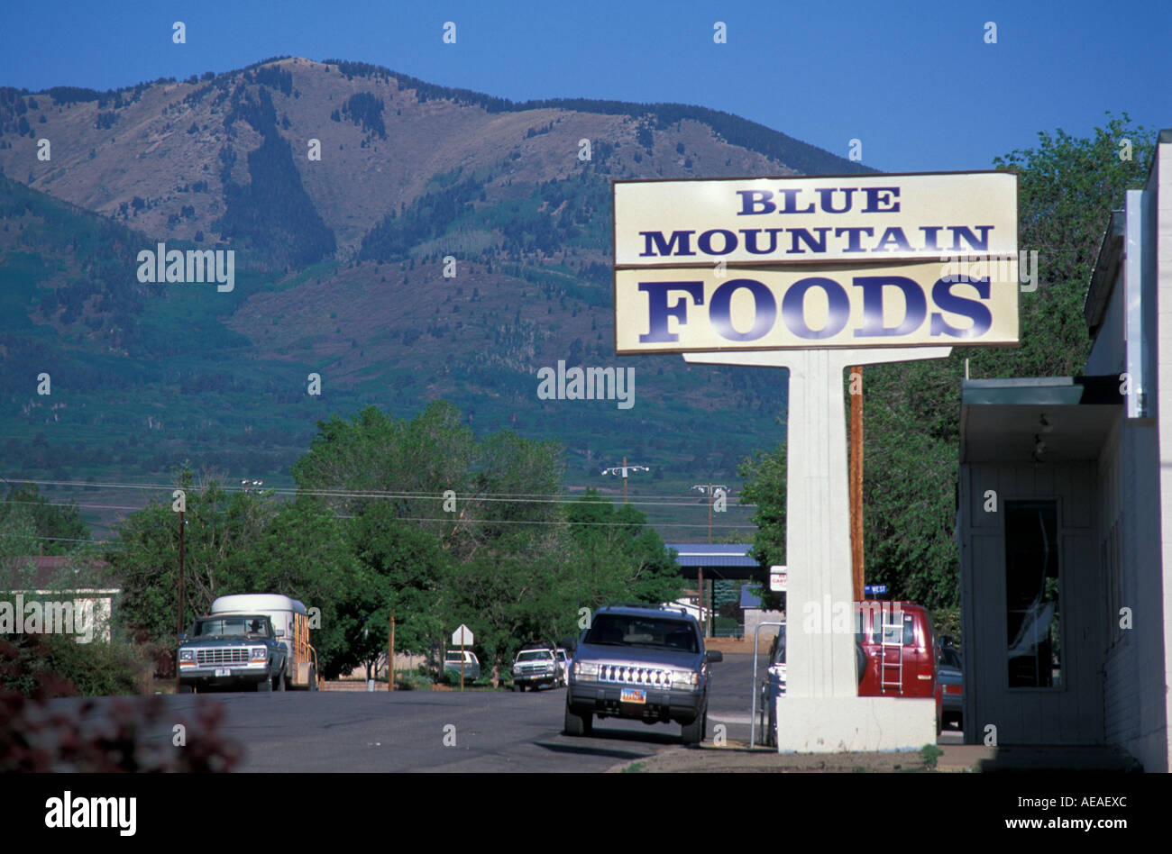 Monticello UT Blue Mountain Foods Abajo Peak Blue Mountains are in the