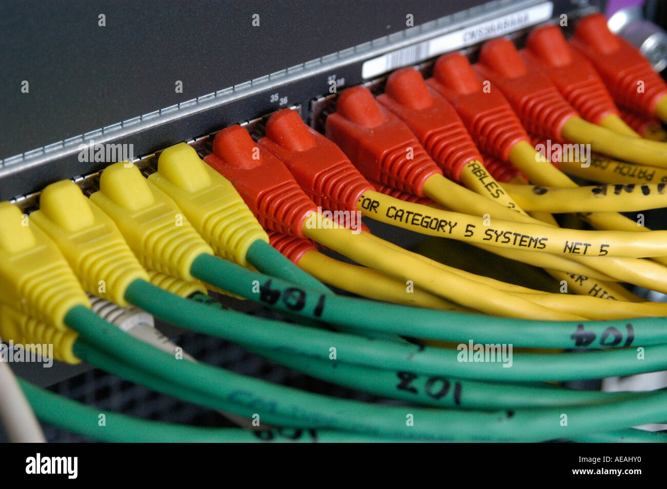 cables connecting computers Stock Photo Alamy