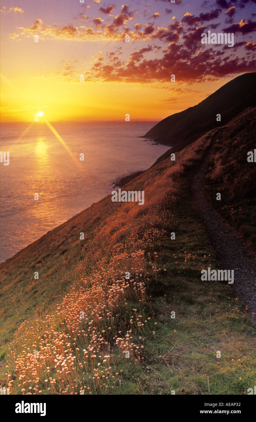 dawn near Porlock Exmoor Stock Photo Alamy