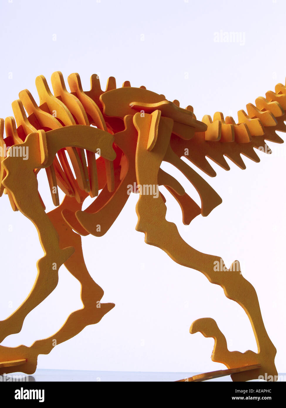 Velociraptor dinosaur wooden model skeleton Stock Photo Alamy