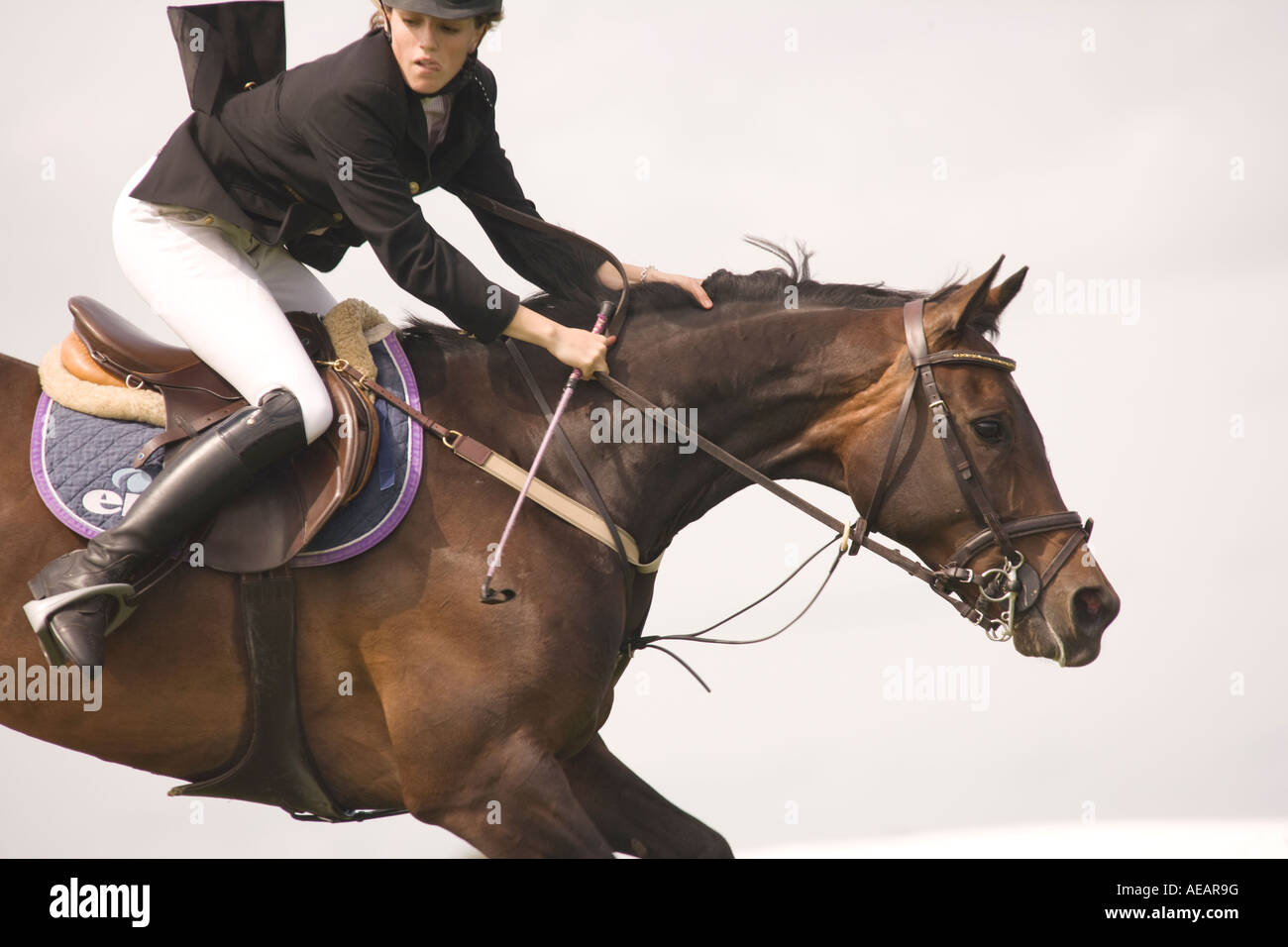 Equestrian sport horse riders show jumping competition horse jumping