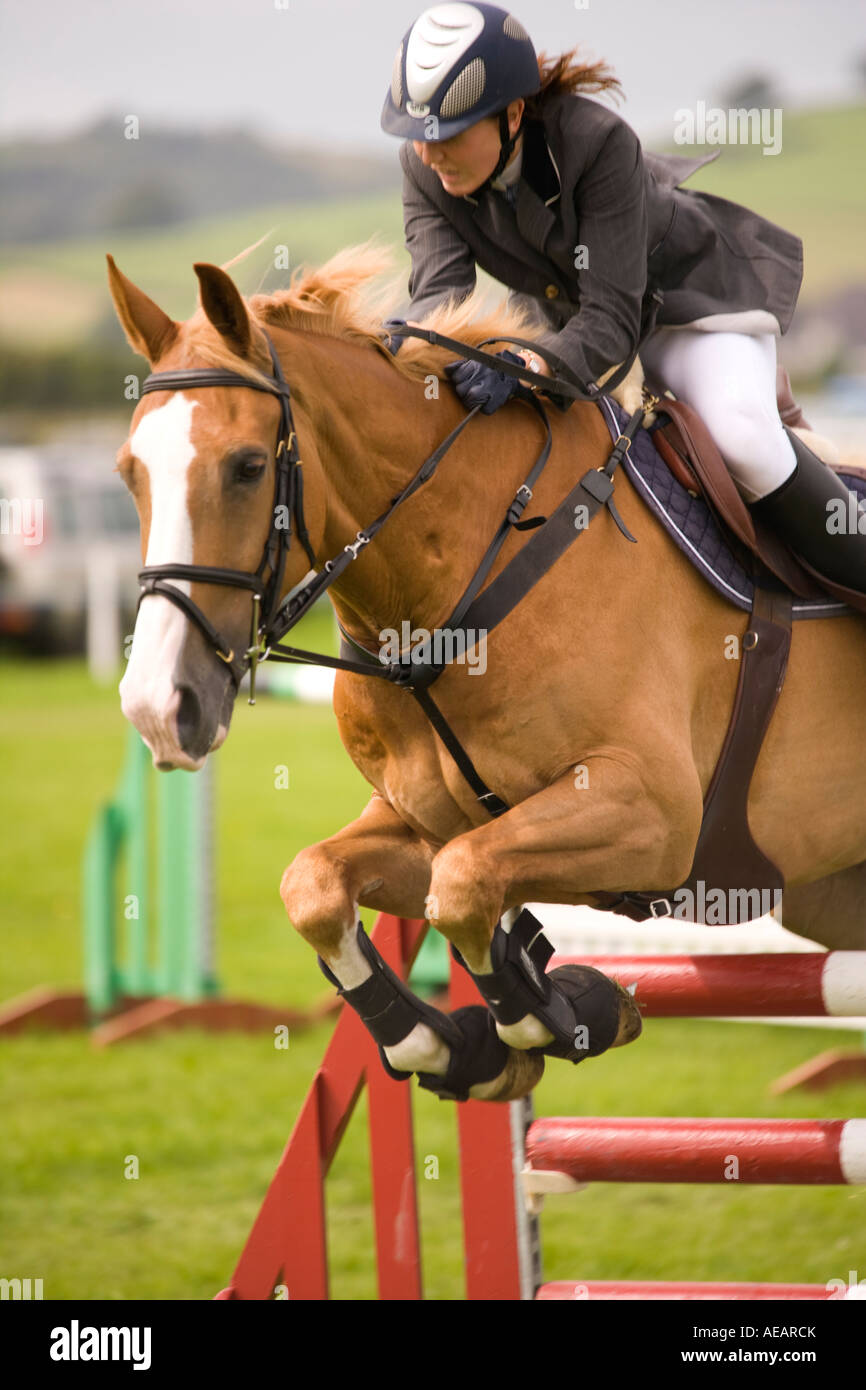 Equestrian sport horse riders show jumping competition horse jumping