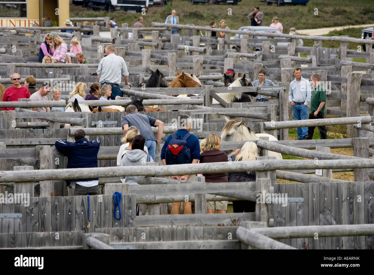 Pens New Forest Pony Sales Hampshire England UK Stock Photo Alamy
