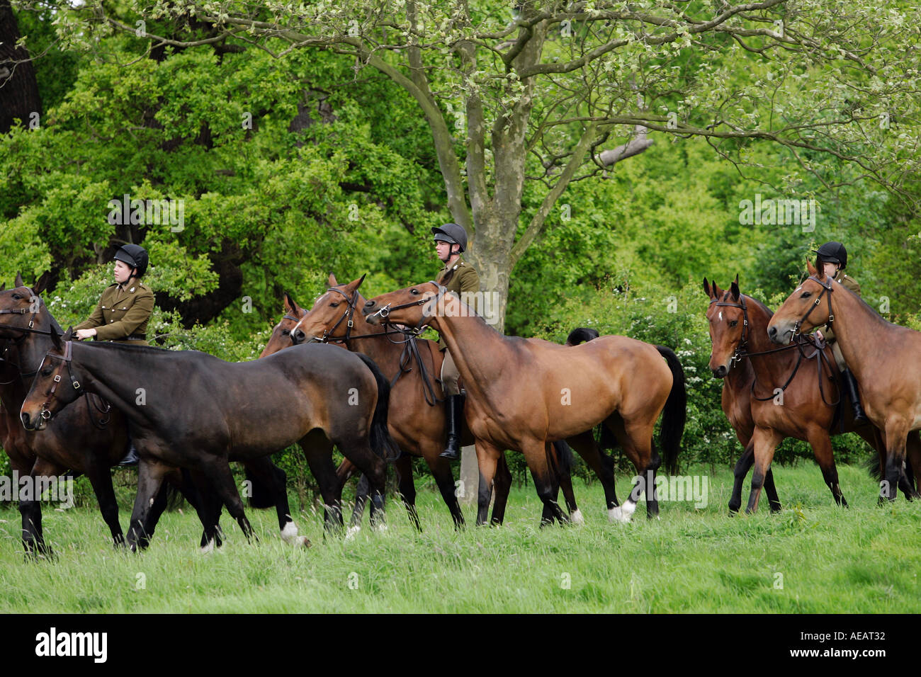 Horses being led for exercise, ride and lead, by mounted army soldiers Windsor England Stock Photo