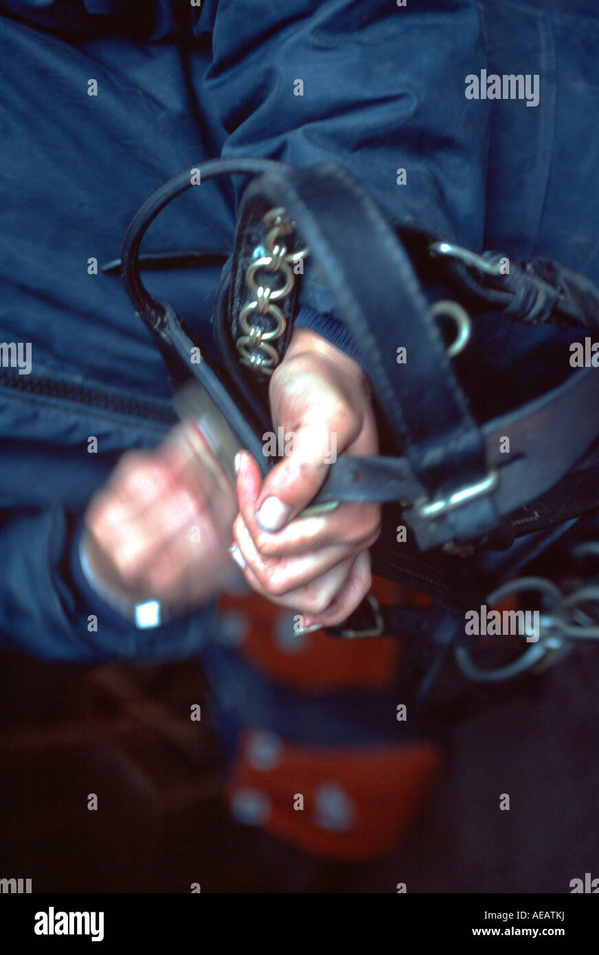 Cleaning and polishing horse harness Island of Sark Stock Photo Alamy