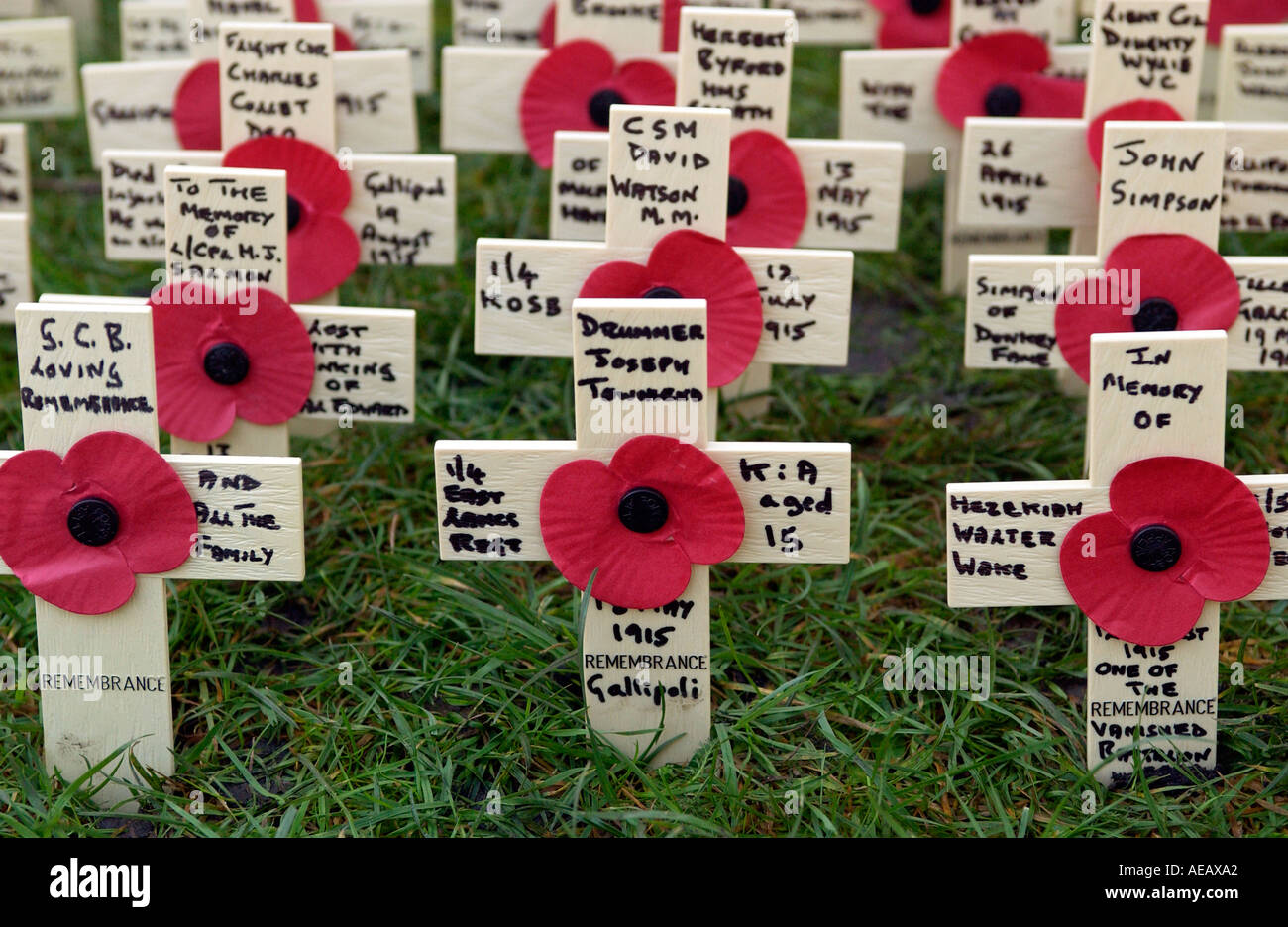 Field of Remembrance at St Margaret s Church Westminster London wooden crosses with red poppy Stock Photo