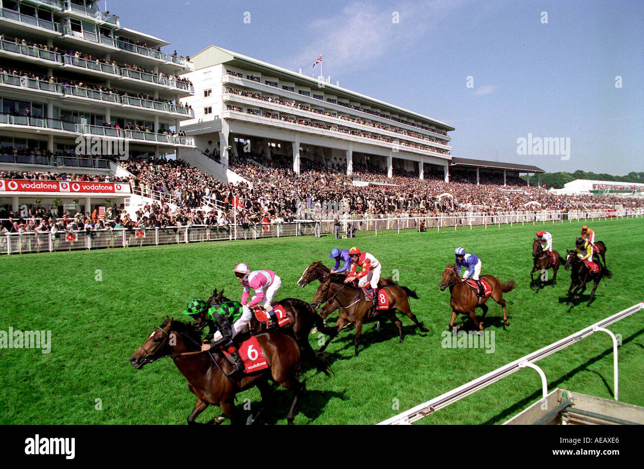 DERBY DAY RACE AT EPSOM RACECOURSE SURREY Stock Photo Alamy