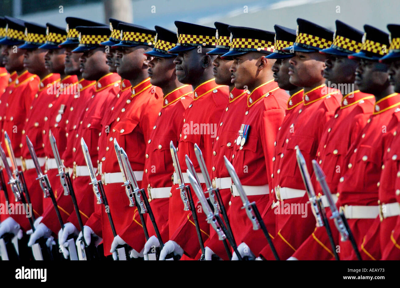 Guard of Honour at Parliament for an official welcoming ceremony Jamaica Stock Photo