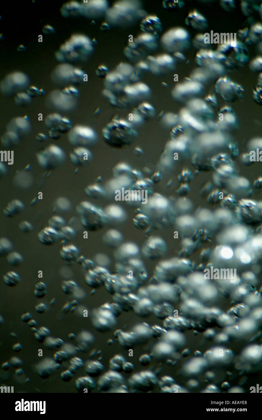 Small bubbles rising through water from an effervescent tablet Stock Photo