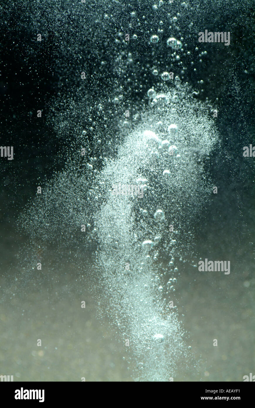 Small bubbles rising through water from an effervescent tablet Stock Photo