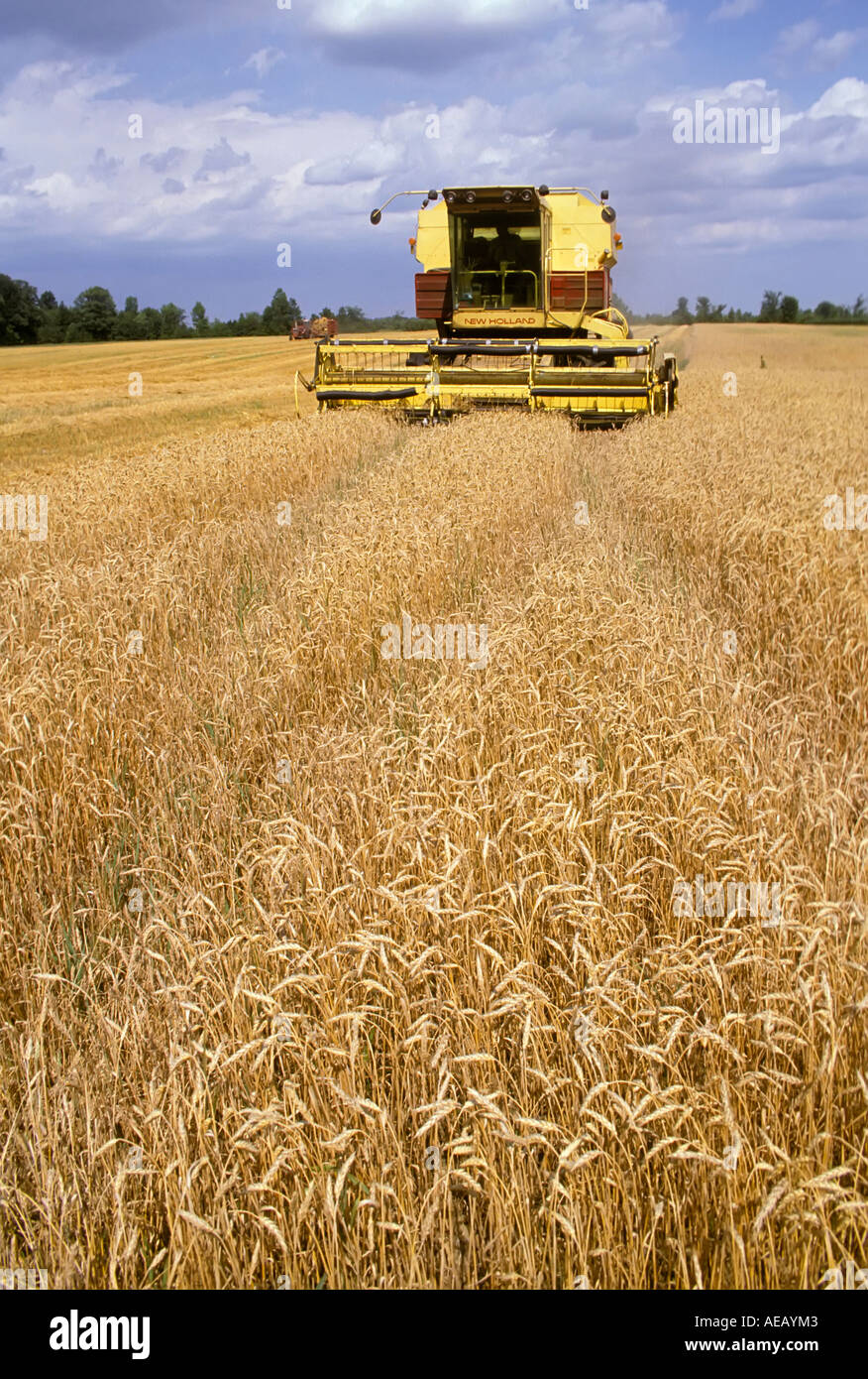 Shipshewana in hires stock photography and images Alamy