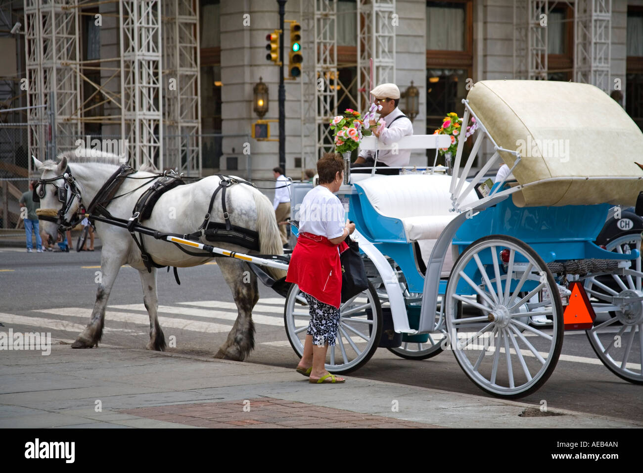 New york city central park carriage hi-res stock photography and images ...
