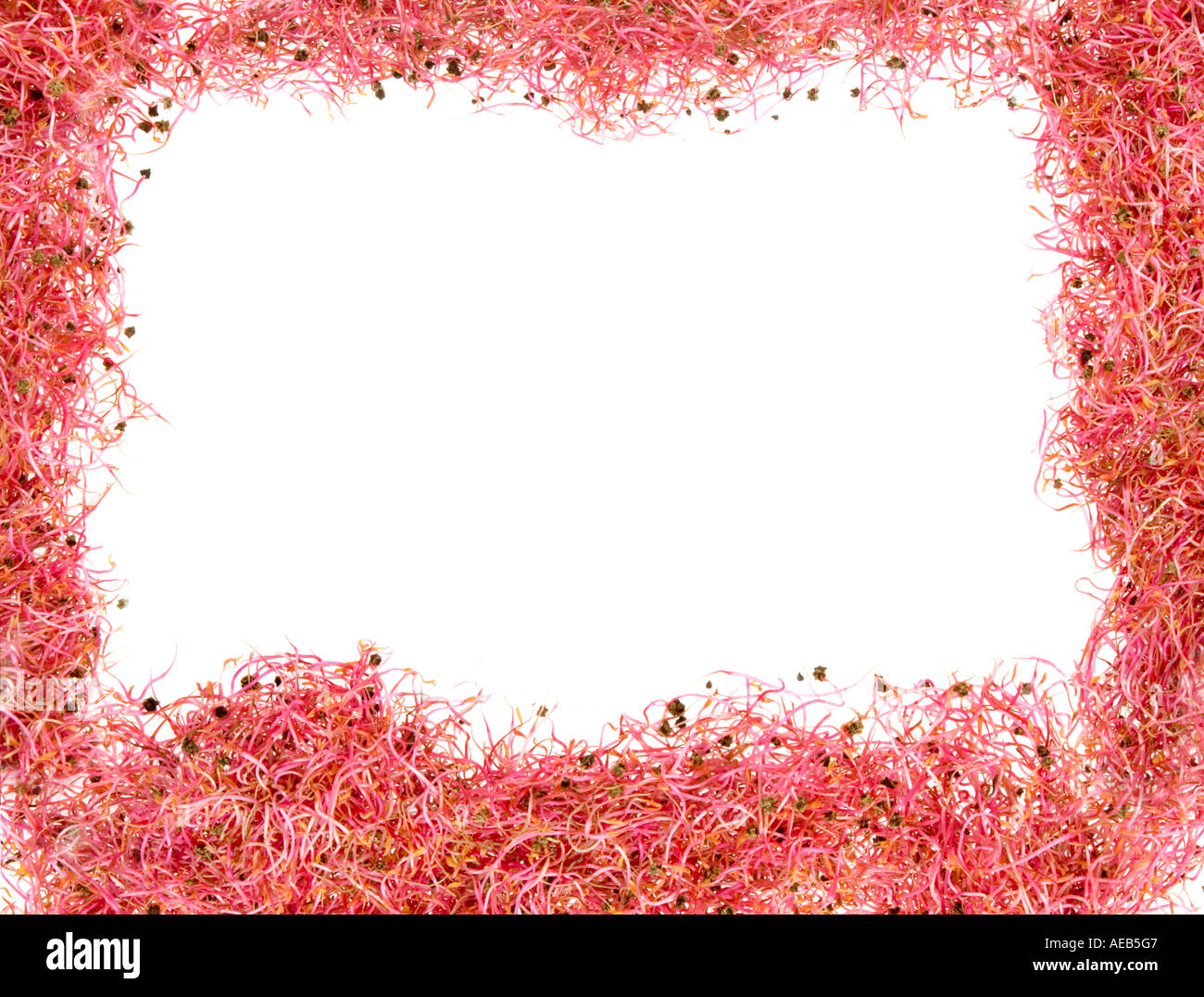 Cut out text frame hi-res stock photography and images - Alamy