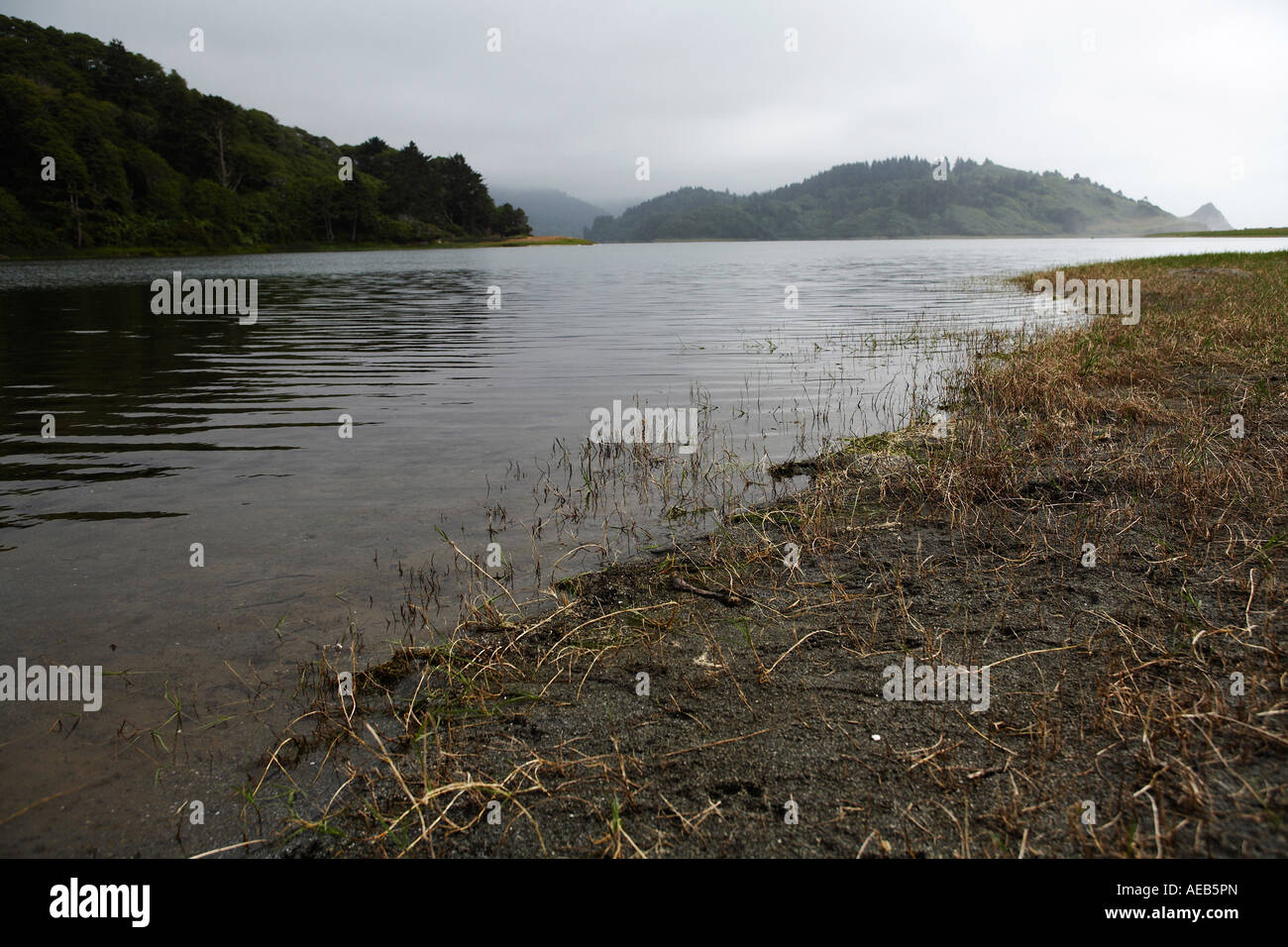 Lakeside in Redwoods National and State Parks, Northern California USA Stock Photo