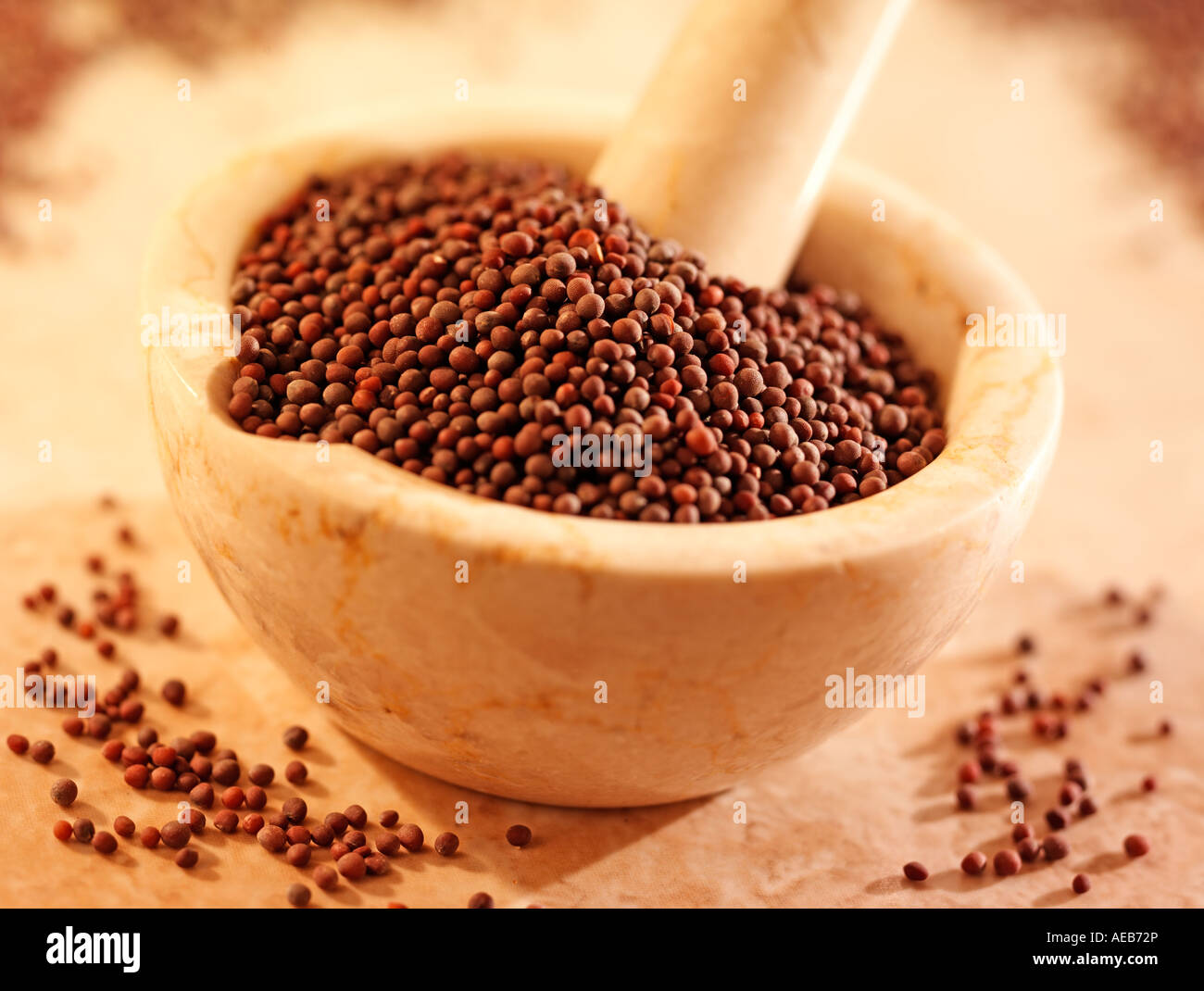 BLACK MUSTARD SEEDS IN PESTLE AND MORTAR Stock Photo Alamy