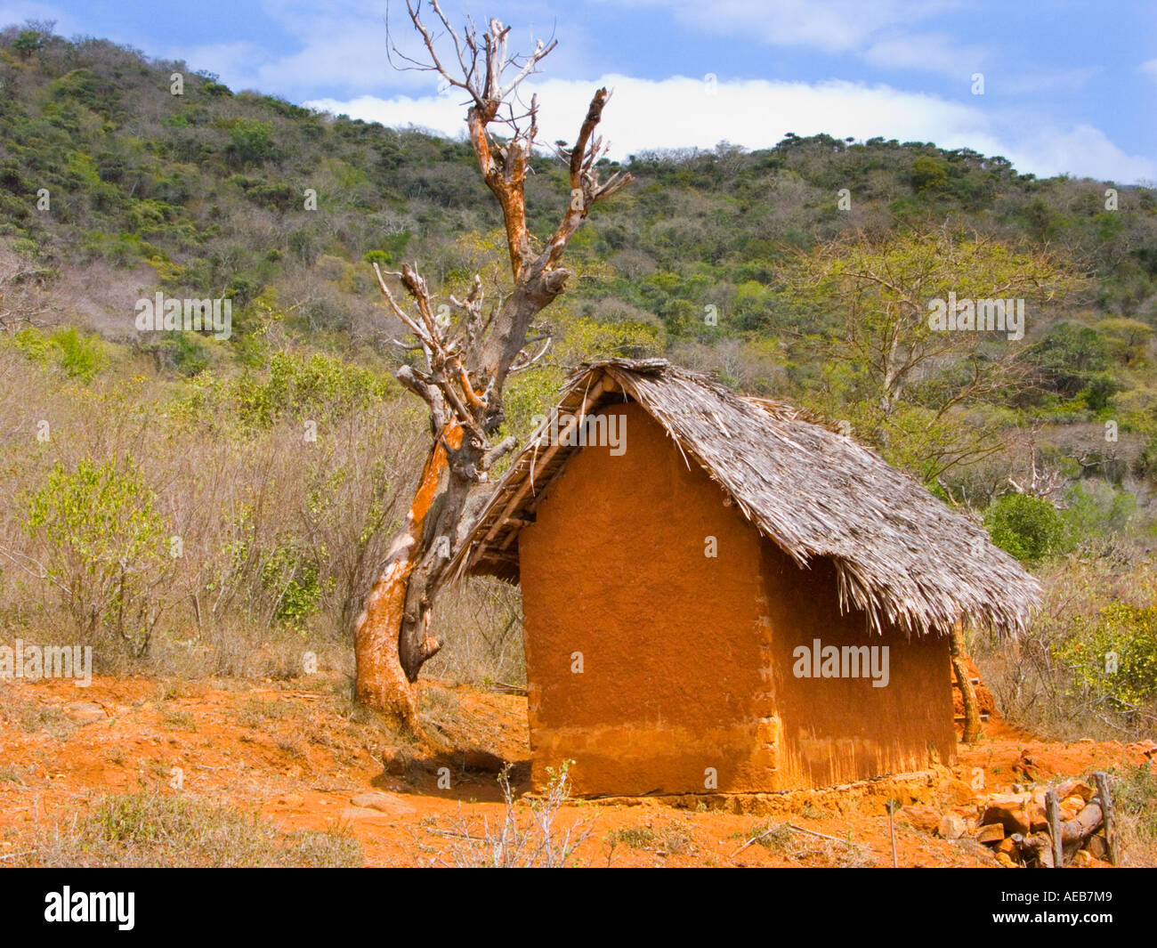 mulched hut in the TAITA HILLS at KAZIGAU mountain Kenya East Africa afrika Stock Photo