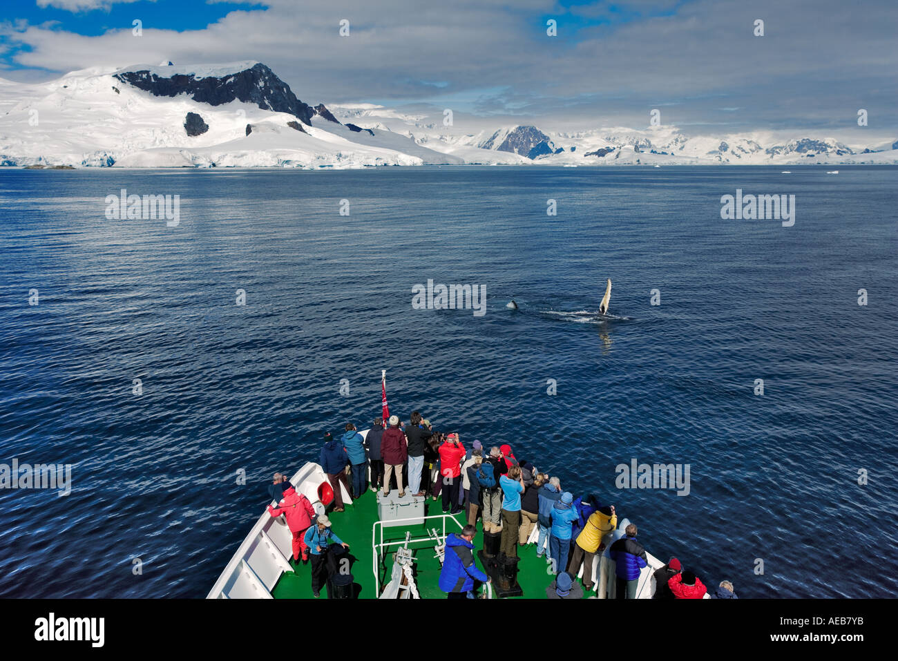 Tourists watching and photographing a whale. Antarctica Stock Photo