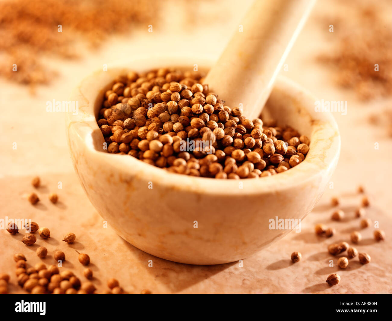 CORIANDER SEEDS IN PESTLE AND MORTAR Stock Photo