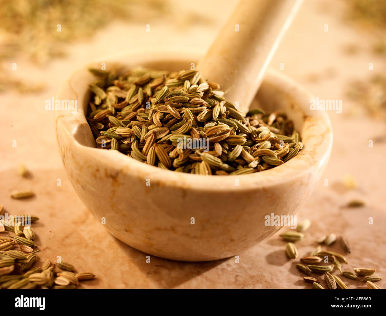 Fennel seeds in mortar hires stock photography and images Alamy