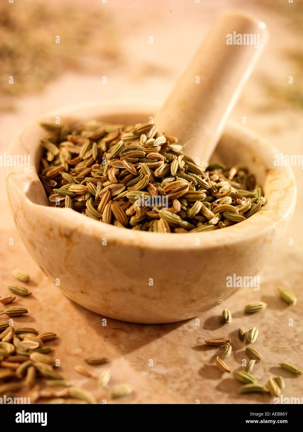 Fennel seeds in mortar hires stock photography and images Alamy