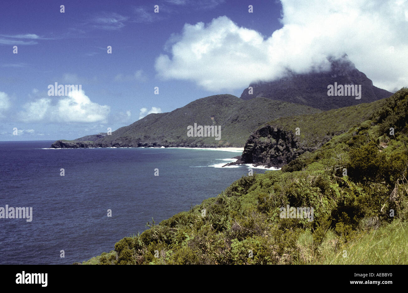 Blinky Beach and Mount Lidgbird Lord Howe Island NSW Australia Stock