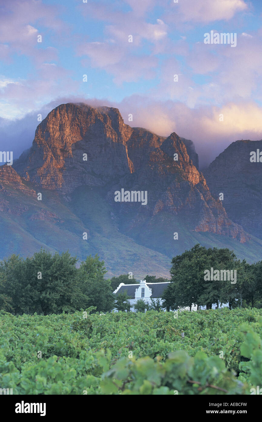 Boschendal Wine Estate Nr Stellenbosch Cape Town South Africa Stock boschendal-wine-estate-nr-stellenbosch-cape-town-south-africa-stock