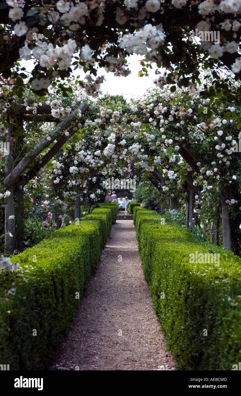 Arches of rose Adelaide d Orleans in the formal gardens of Mottisfont Abbey Hampshire Stock Photo