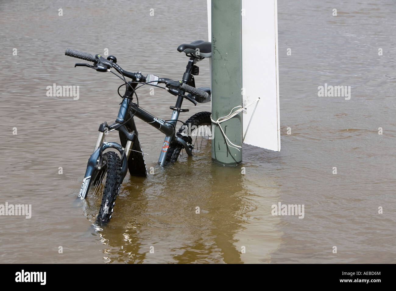 A bike in floods in upton upon Severn Stock Photo Alamy