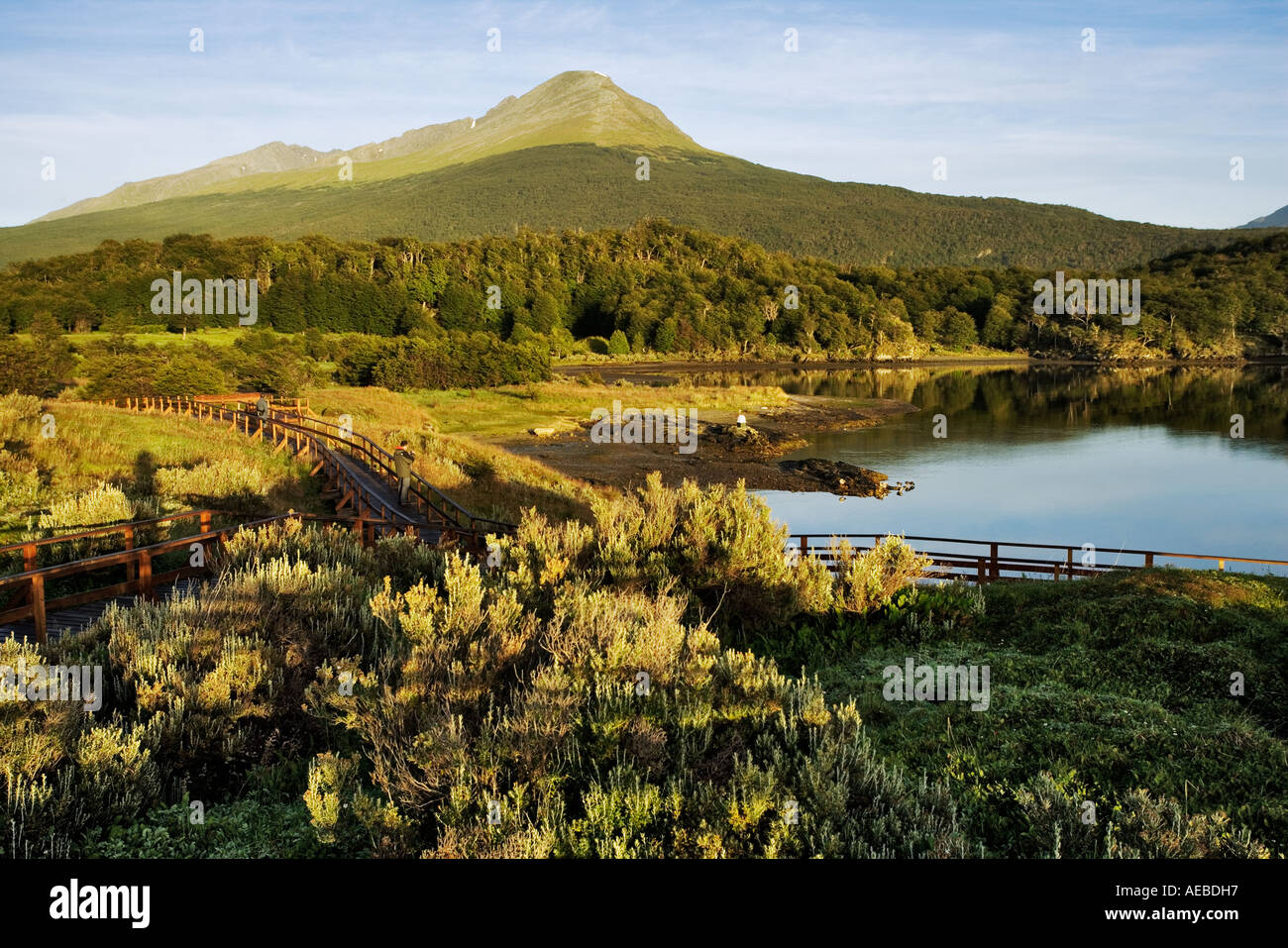 Walkways at Tierra del Fuego National Park Argentina South America Stock Photo