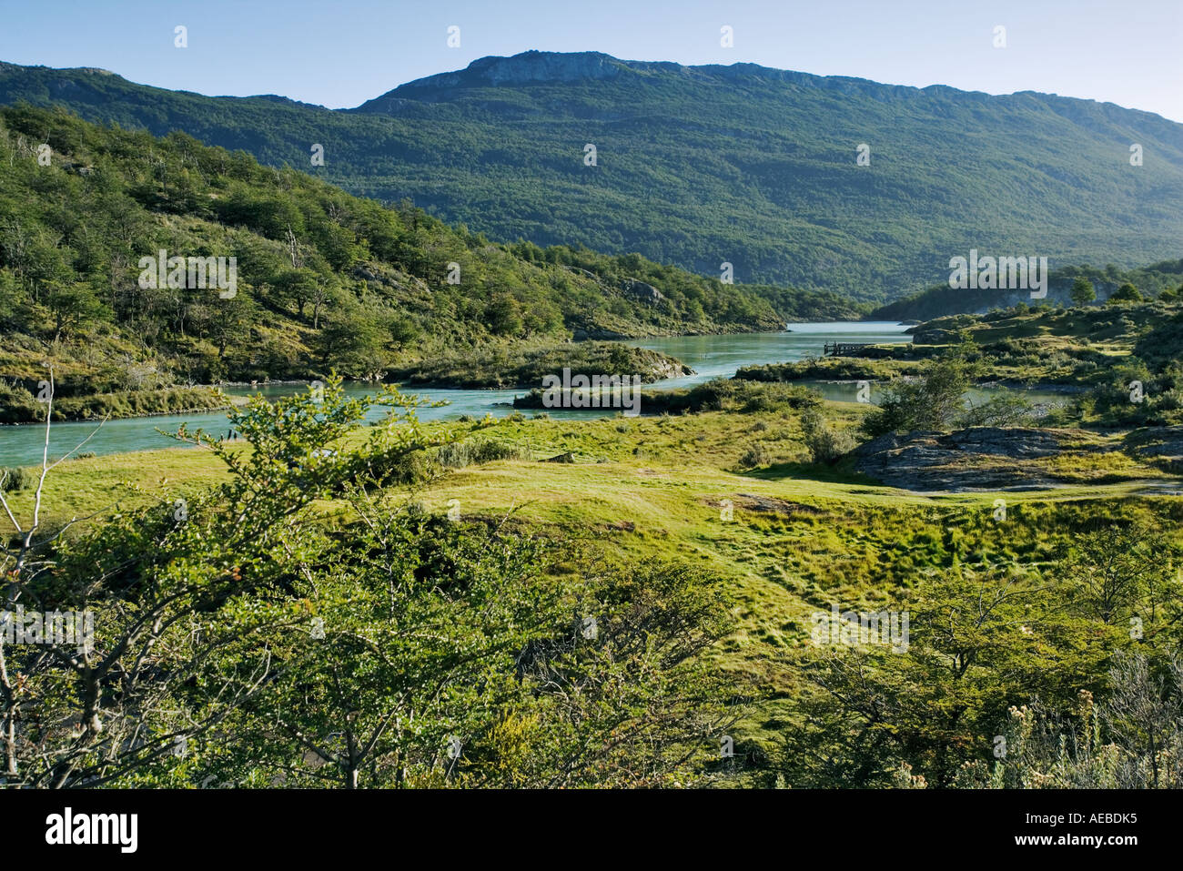 Landscape at Tierra del Fuego National Park Argentina South America Stock Photo