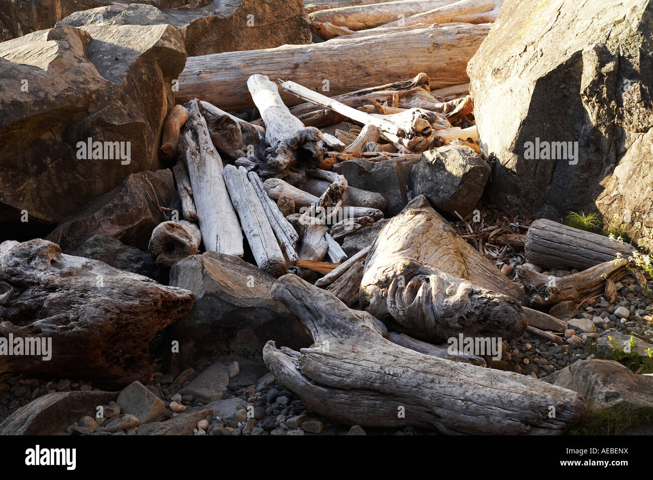Eroded Driftwood Harris Beach State Park Brookings Oregon Stock Photo