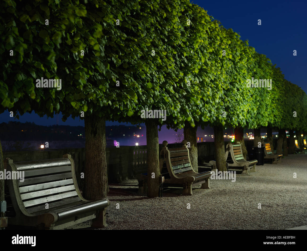 Canada Ontario Niagara Falls Niagara Parks Commission Queen Victoria Park empty benches under trees in a park setting at night Stock Photo