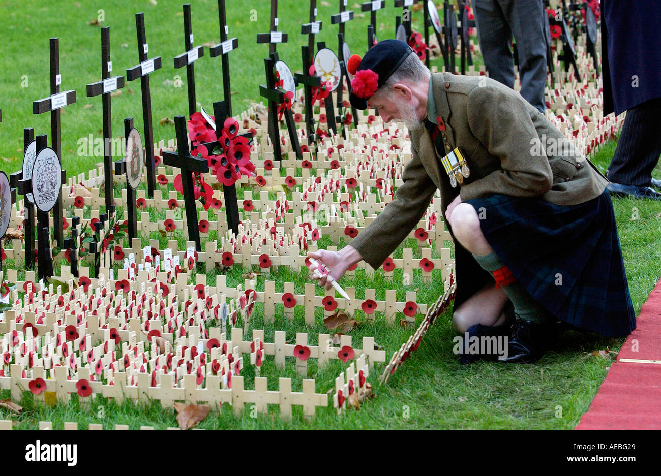 Private Joe Roberts of the Black Watch Regiment at the field of remembrance at Westminster Abbey commemorating war dead London Stock Photo