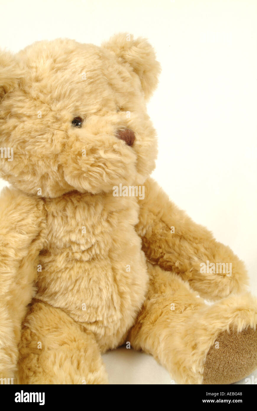 Stuffed teddy bears on a white background Stock Photo - Alamy