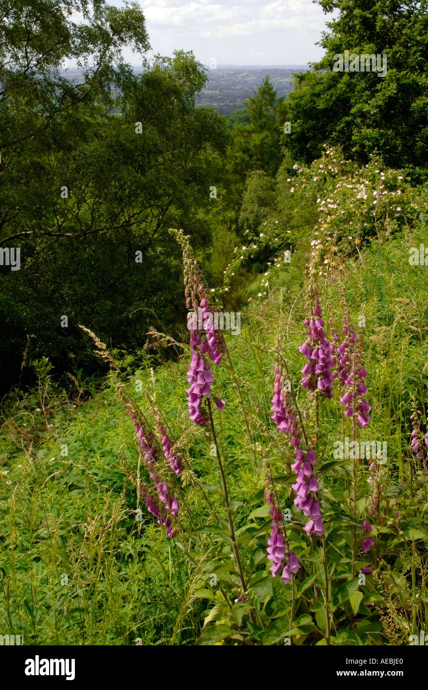 Midlands Ridge England england the midlands worcestershire views from the main ridge of the ...