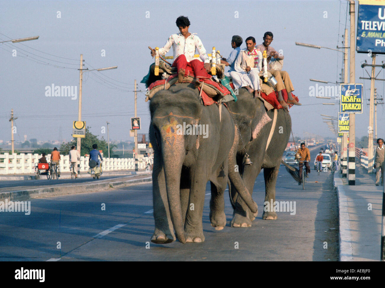 Riding Elephants Delhi India Stock Photo Alamy