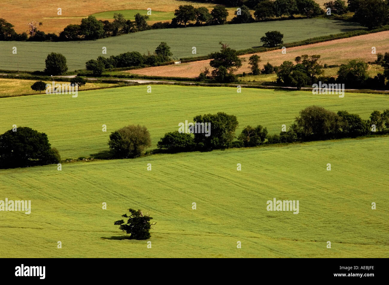 Midlands Ridge England Malvern ridge walker hi-res stock photography and images - Alamy