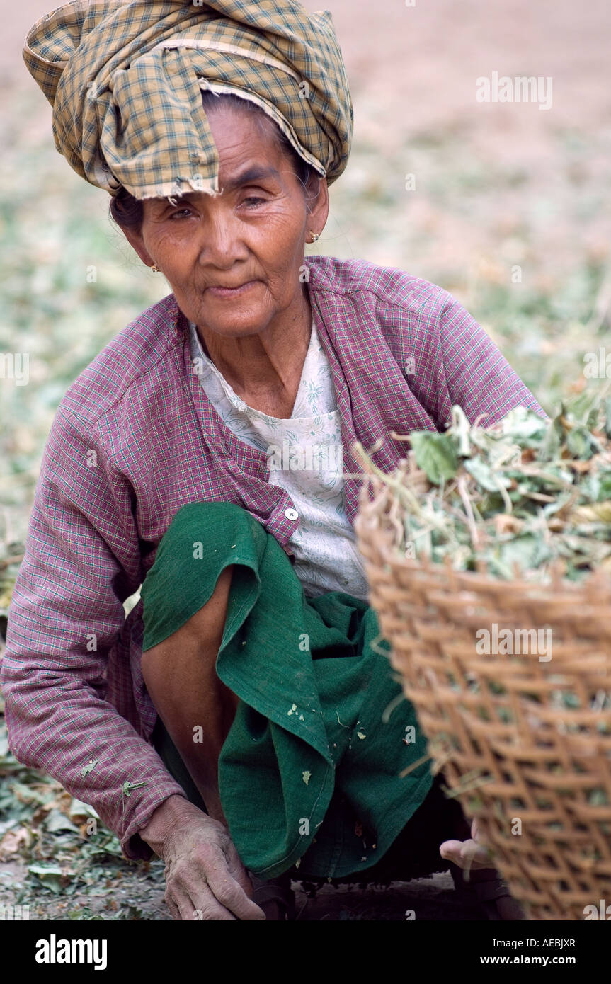 Old Lady Burma Stock Photo - Alamy