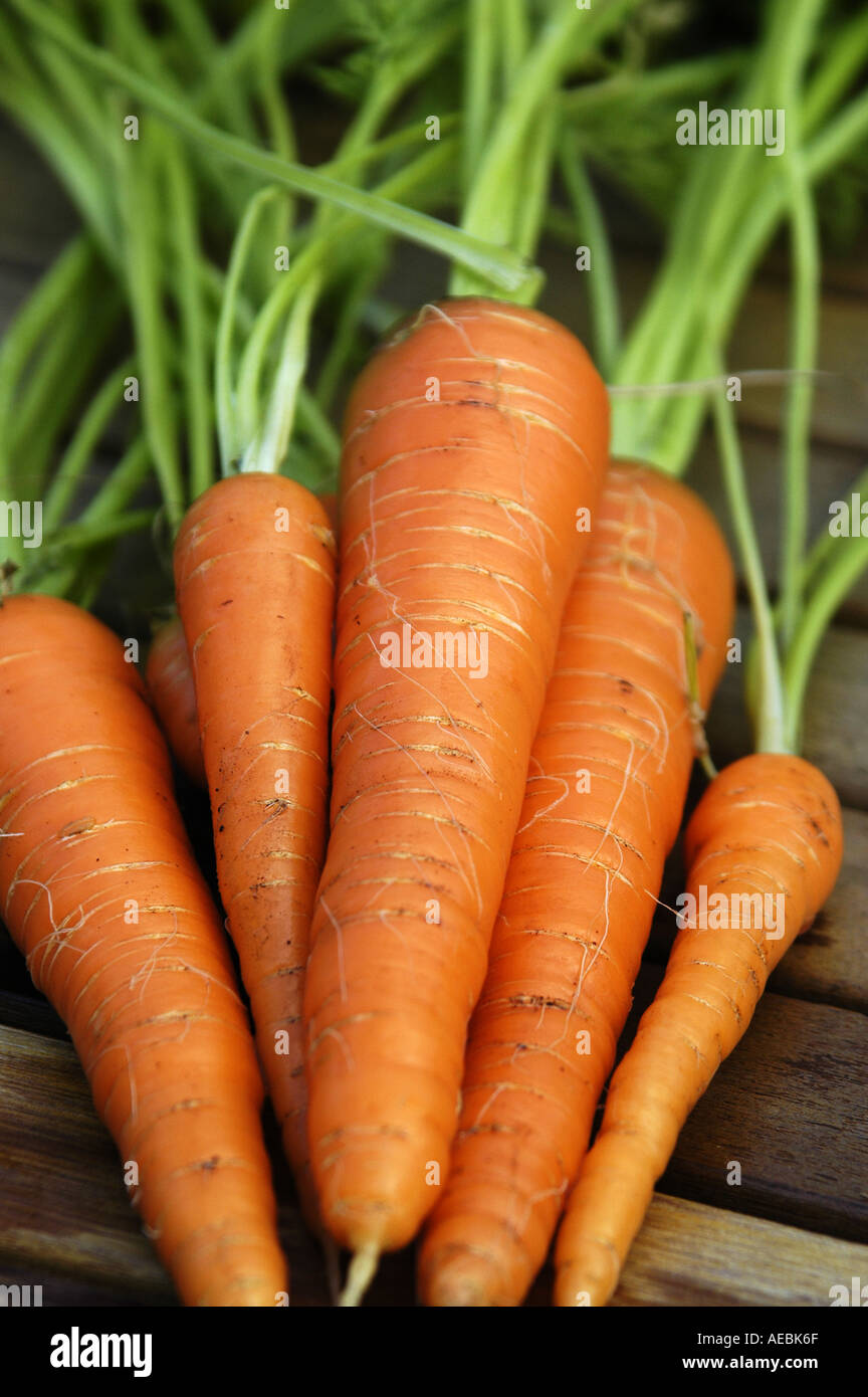 Baby carrots nutrition facts hires stock photography and images Alamy